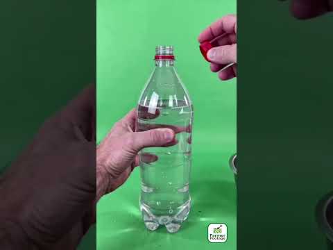 Using Empty Bottles for Plant Drip Irrigation thumbnail