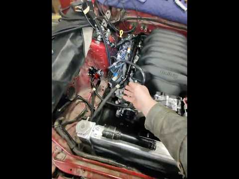 Godzilla Foxbody Fuel System Check thumbnail