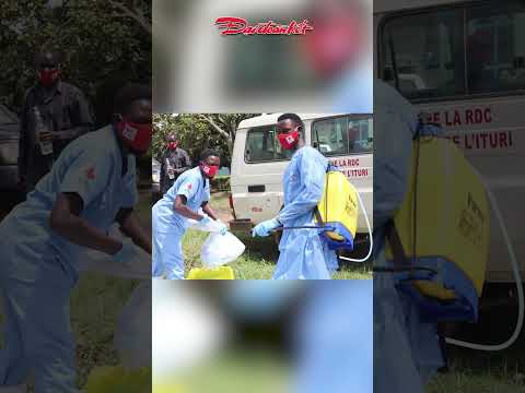 Ebola bùng phát vượt kiểm soát, WHO cảnh báo nguy cơ lan khắp châu Phi thumbnail