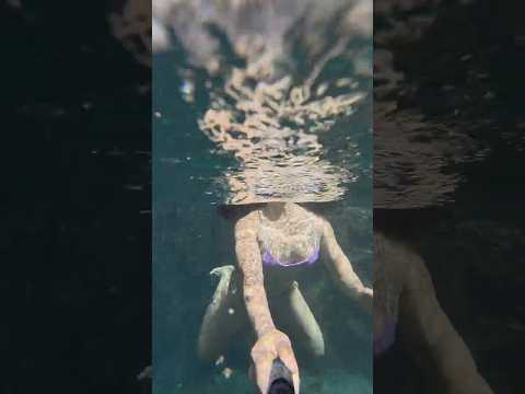 Aquatic Capture thumbnail