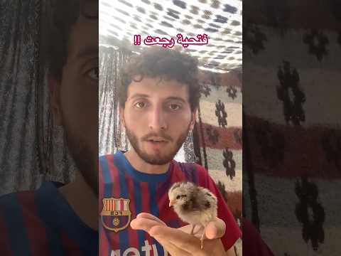 فتحية رجعت!😱 thumbnail
