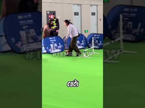 VĐV Chihuahua và hành trình vượt rào cùng chủ #memevietnam #meme #funny #haihuoc thumbnail