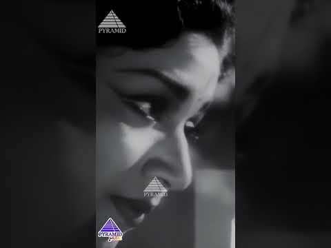 கோடைக்கால | Poojaiku Vantha Video Song | Paadha Kaanikkai Movie | Gemini Ganesan | Savitri | #shorts thumbnail