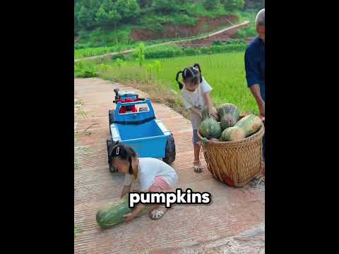 Little Girls Help Grandpa Carry Pumpkins ?❤️ thumbnail