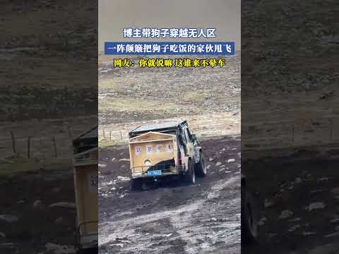 博主帶狗子穿越無人區,一陣顛簸把狗子吃飯的家夥甩飛,網友：你就說嘛這誰來不暈車 #大熱門 #共鳴 thumbnail