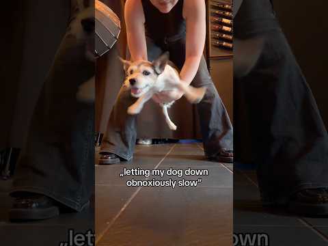 letting my dog down obnoxiously slow thumbnail