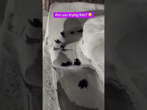 This looks too fun 🙌 (via @gatewayparksidahofalls/TT) thumbnail