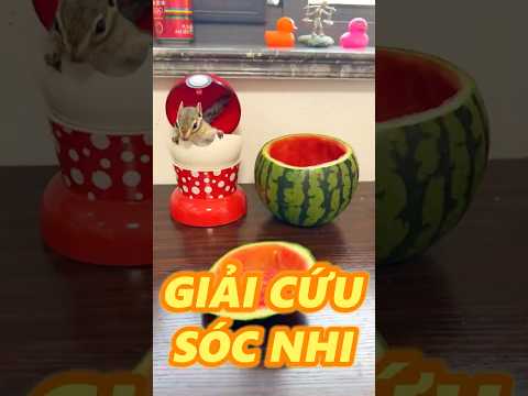 GIẢI CỨU SÓC NHI thumbnail