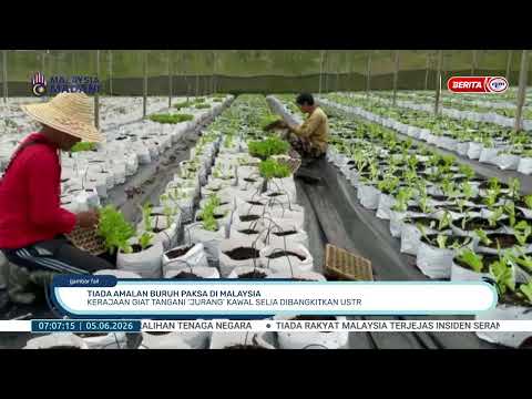 5 JUN 2026 - B.PAGI - TIADA AMALAN BURUH PAKSA DI MALAYSIA: KERAJAAN GIAT TANGANI JURANG KAWAL SELIA thumbnail