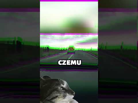 Policja nic nie może ci tu zrobić ! thumbnail