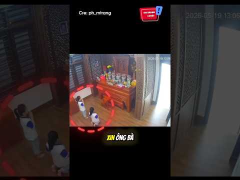 Đi thi cầu xin tổ tiên và cái kết =))) ? #shorts thumbnail