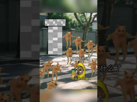 年轻的士兵渴望功勋#猫meme日常 #提干 thumbnail