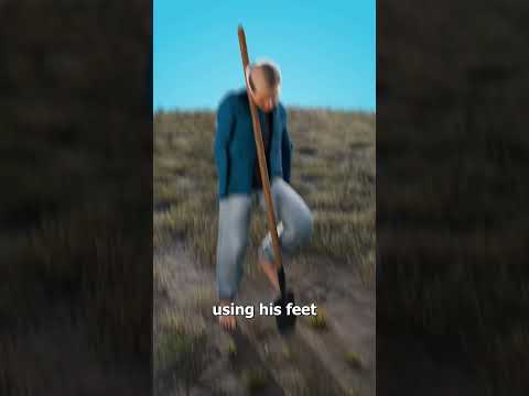 The Blind And Armless Friends Rebuilding A Forest ? thumbnail