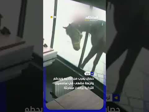 حصان يهرب من صاحبه ويحطم واجهة مقهى في سامسون التركية بركلات مفاجئة #اخبار_المشهد thumbnail