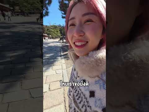 พบปะกวางมารยาทงามที่นารา น่ารักมากก #กวางคำนับ #ญี่ปุ่น #Japan thumbnail