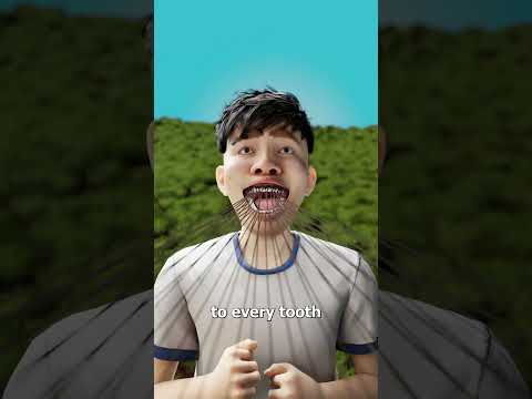 Why You Should Never Yank A Loose Tooth ? thumbnail
