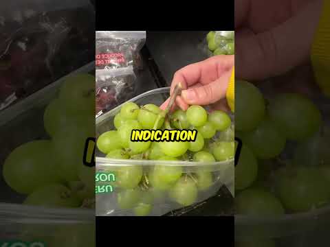 Grapes ? @richabraham369 thumbnail