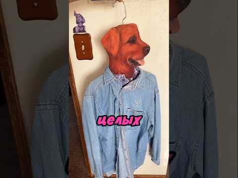 Попросила подарить ей что-то нормальное ? thumbnail