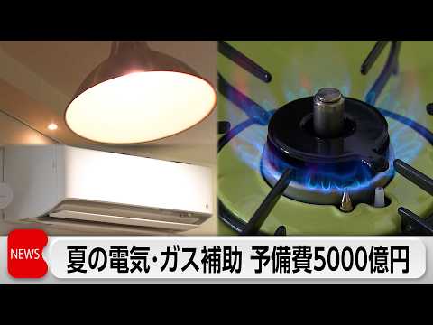 エネルギー高騰対策で夏の電気・ガス代補助　予備費5000億円支出決定 thumbnail