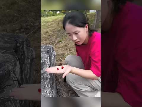 Tìm thấy viên ngọc trị giá hàng triệu đô😅 thumbnail
