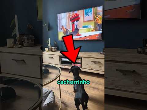 Esse cachorrinho é muito CURIOSO! thumbnail