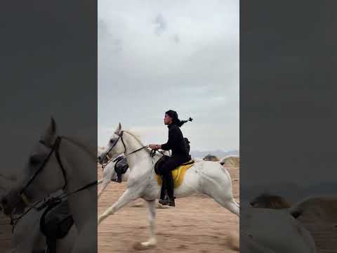 Our favorite sunnah ❤️🐎🏇 @Gallopmadinah thumbnail