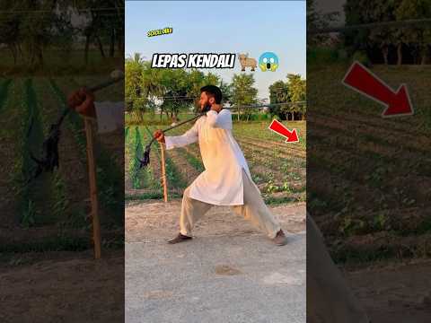 Hewan Kurban Ini Tiba-Tiba Mengamuk!😳 #shortvideo thumbnail