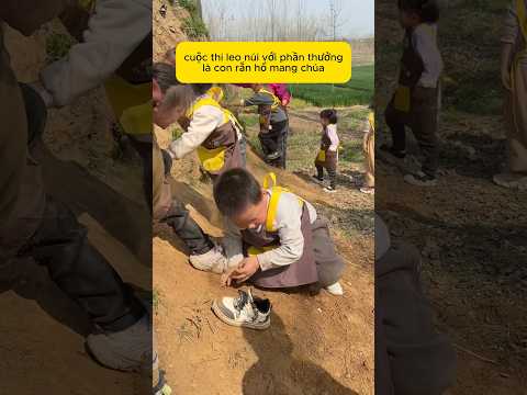 Những em học sinh tham gia cuộc thi leo núi thumbnail
