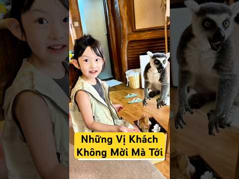 Con gì đây nhỉ thumbnail