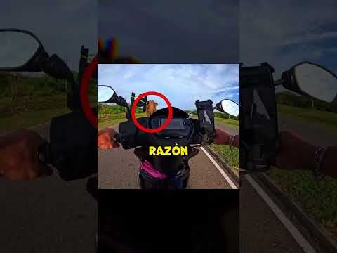 Motociclista vs Elefante? #bike #bikelover #moto thumbnail
