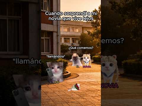 Cuando sorprendí a mi novia que vive lejos ? #funnyvideos #humor #noviatoxica thumbnail