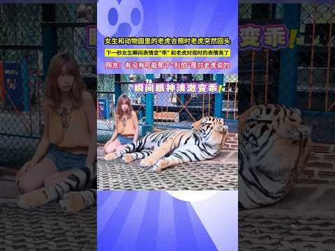 女生和動物園裡的老虎合照時老虎突然回頭，下一秒女生瞬間表情變"乖"，和老虎對視時的表情亮了，網友：有沒有可能那個"別怕"是對老虎說的！#shorts thumbnail