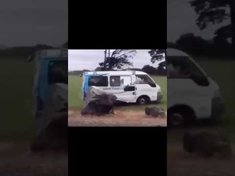 Unlucky! #automobile #driftracing #bestfails #drift #motorsport #funny #car #racing #drifting thumbnail