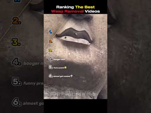 Ranking The Best Wasp Removal Videos thumbnail