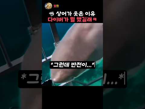 무서운 줄 알았던 상어가 웃어버린 이유ㅋㅋ thumbnail
