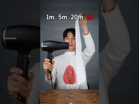 Beef vs Hair Dryer thumbnail