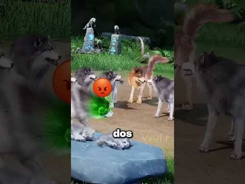 Los Primeros Cachorros Eran Perfectos… Pero el Tercero Lo Cambió Todo ? thumbnail