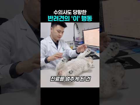 "집에서도 이런가요?.." 수의사 고개 숙이게 만든 반려견의 황당 행동 thumbnail