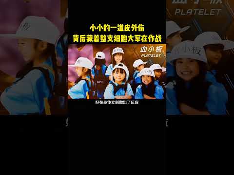 小小的一道皮外伤，背后藏着整支细胞大军在作战 thumbnail