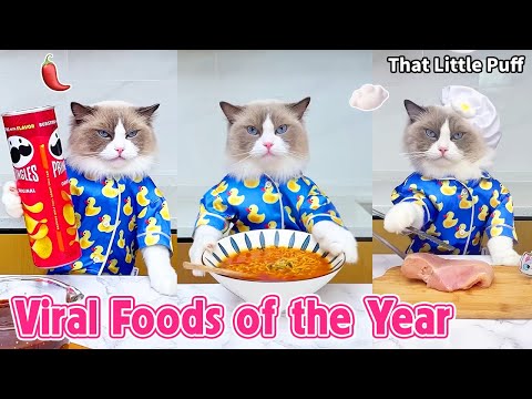 The 30 Most Popular Foods of the Year🤤 | Ultimate Food Compilation | That Little Puff thumbnail