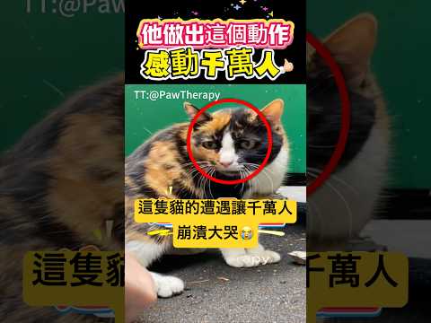 他做出這個動作！感動千萬人🫣 #溫暖  #貓#shorts 小林Lin’s life thumbnail