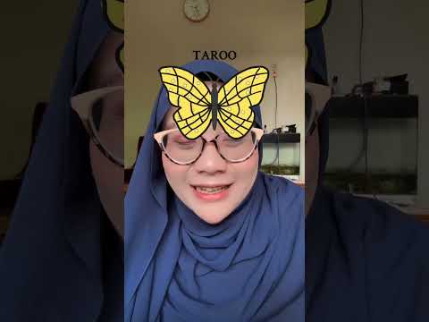 BIKIN KUPU KUPU BUAT TAROO thumbnail