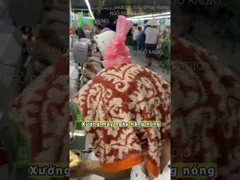 Xưởng may ngày nắng nóng thumbnail