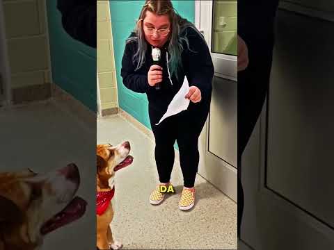 Ta Dziewczyna Sprawiła Ze Adoptowano Szczeniaka 🤯❤️ thumbnail