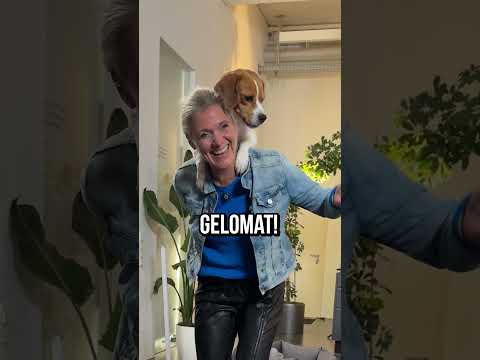 Fürs erste Mal ganz gut oder? #dogskitchen @platinum_de_official thumbnail