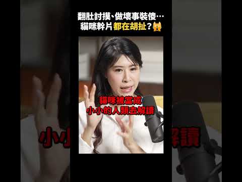養貓人最大錯誤，是把貓當人看！？ 🙀 ｜志祺七七 Shorts #Highlight thumbnail