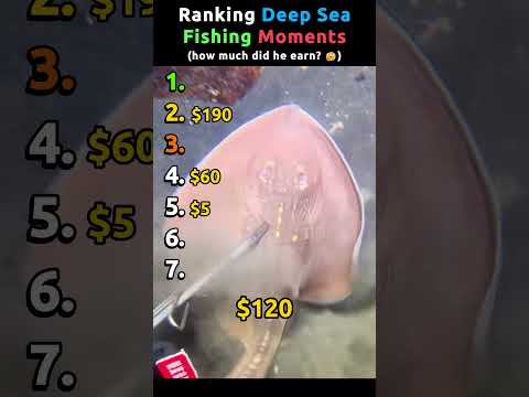 Ranking Deep Sea Fishing Moments Pt.3 | how much did he earn? 🤔 #deepseafishing thumbnail
