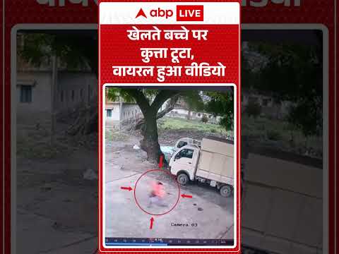 Viral News : खेलते बच्चे पर कुत्ता टूटा, वायरल हुआ वीडियो | #ytshorts #dogattack #dog #dogbitecases thumbnail