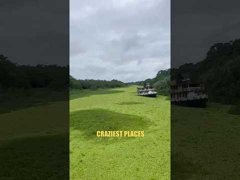 The craziest place I’ve ever been… thumbnail
