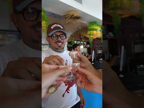 Pitorro de Coco, La Bebida de Bad Bunny thumbnail